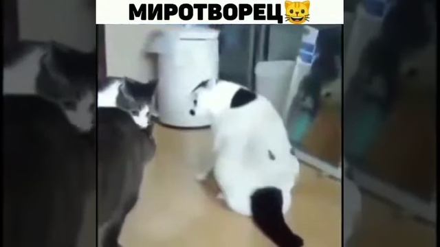 Миротворец
