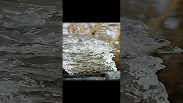 Воронежская  обл г. Гоголя утром