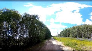 Дорога к заброшенному храму в Желтых. Верхошижемский район