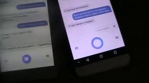 Разговор двух Алис