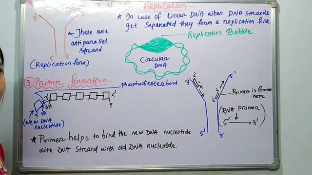 for 2  5th Semester  MOLECULAR BIOLOGYMechanism of DNA REPLICATIONବଝନତ ଓଡଆର