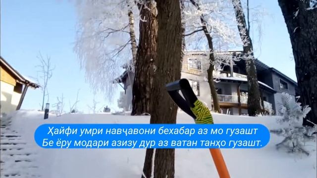 Ҳайфи умри навҷавони бехабар аз мо гузашт Бе ёру модари азизу дур аз ватан танҳо гузашт.