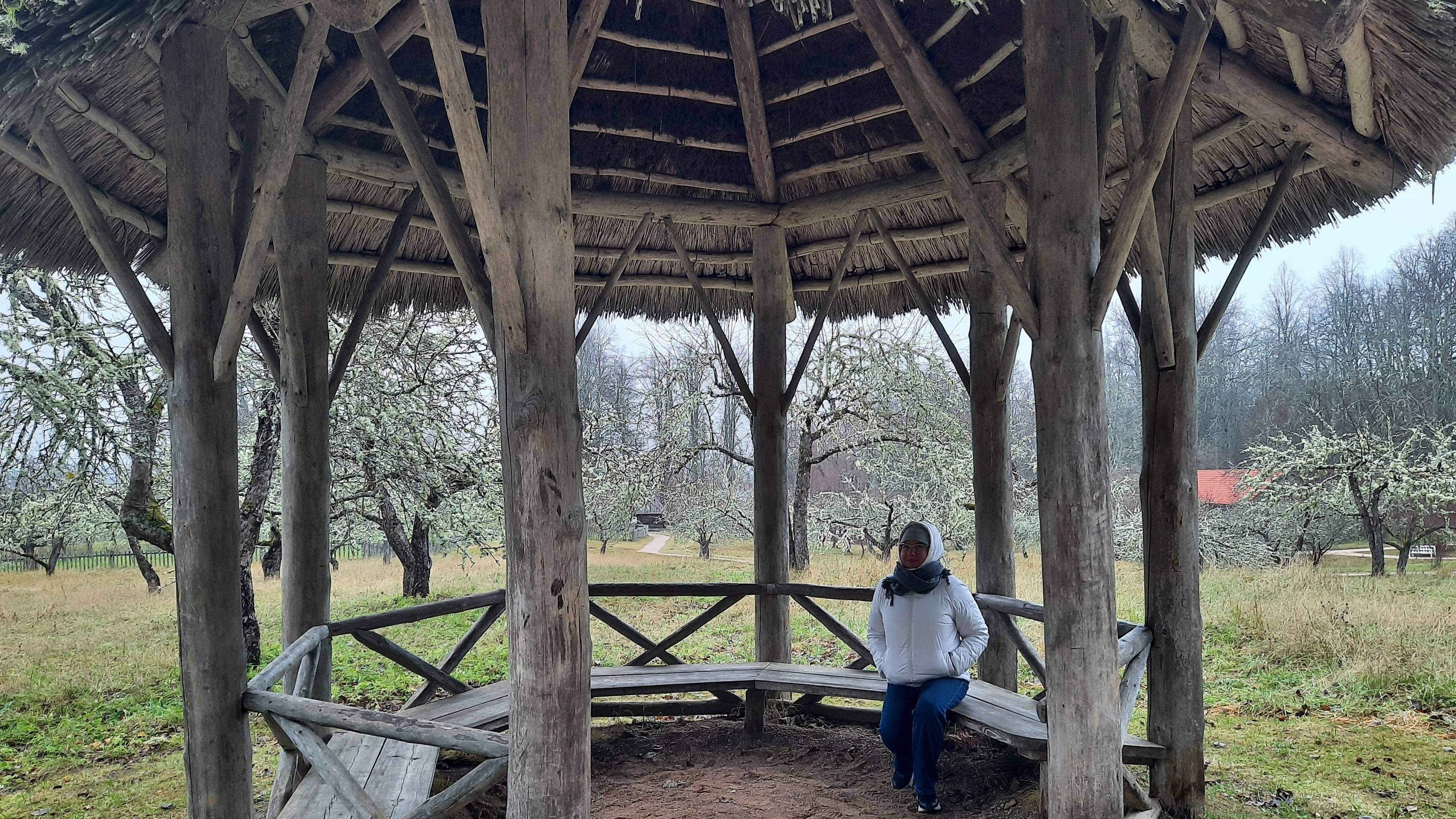 Пушкинские горы. Двухдневная прогулка по усадьбам Михайловское, Тригорское, Петровское. смотреть онлайн