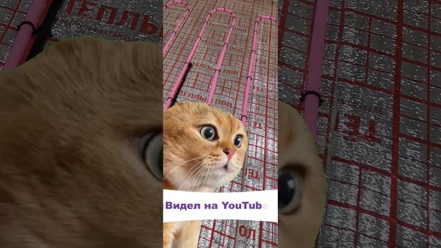 Xlpipe самостоятельный монтаж #отопление #строительство #тёплыйпол #xlpipe #ремонт #shorts #юмор смотреть онлайн