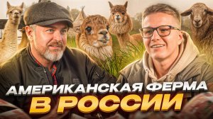 Американская ферма в России! Российские Альпаки - Мы В Деле - Бизнес!