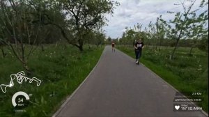 Лыжероллерная трасса в Алешкино | Обзор Сергея Корсакова