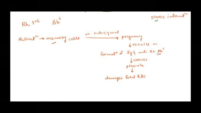 Erythroblastosis Fetalis or Hemolytic Disease of the Newborn or Rh Incompatibility смотреть онлайн