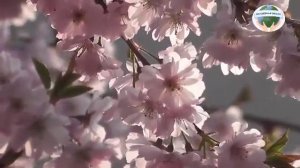 010 Лигита Кто такие наставники? Ченнелинг