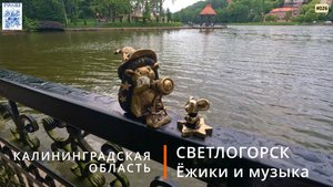 Светлогорск (Калининградская область). Ёжики и музыка