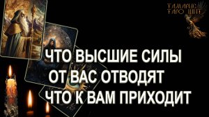 ЧТО ВЫСШИЕ СИЛЫ ОТВОДЯТ ЧТО ПРИХОДИТ🔥💯🔥 ГАДАНИЕ ОНЛАЙН РАСКЛАД ТАРО