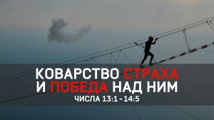 Коварство страха и победа над ним // Числа 13:1-14:5 / Илья Шаповалов