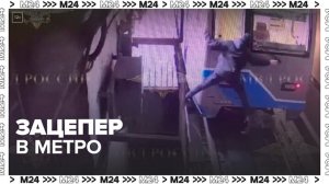 Полиция задержала зацепера на станции метро "Нахимовский проспект" - Москва 24