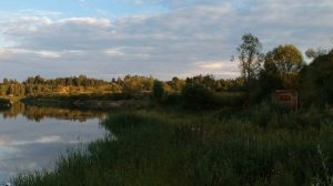 Пруд в Барсуках