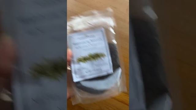 Growing Broccoli Sprouts for Highest Sulforaphane 🌱 смотреть онлайн