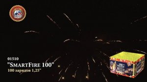 01510-SmartFire100