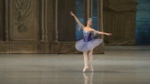 Fairy Fleur de Farine - Sleeping Beauty
