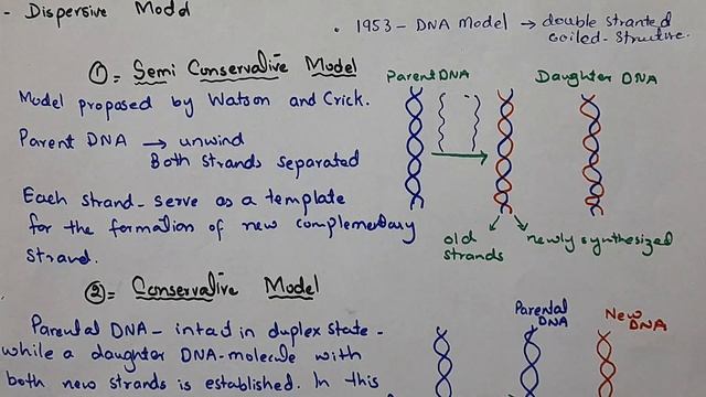 DNA Replication Models: Chapter- Chromosomes and DNA смотреть онлайн