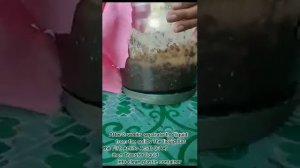 Easy steps on How to make Fish Amino Acid (FAA)