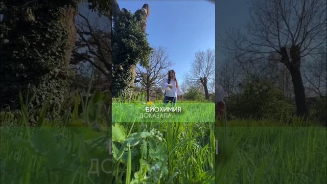 Доказательство существования Бога! смотреть онлайн