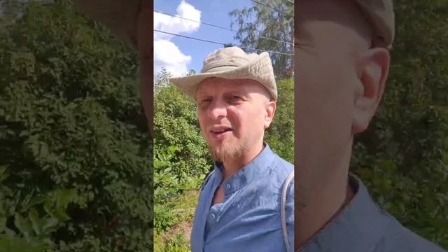 как надо жить? #психология #экзистенциализм #short #какжитьправильно