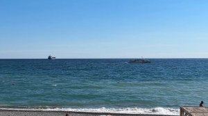 Ялта. Воробьи на море. А Море в октябре. Крокусы цветут. Октябрь 2024. Крым. Crimea. Yalta.