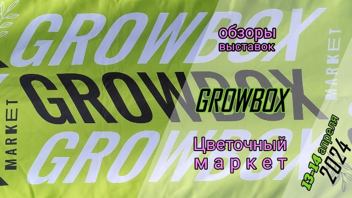 Цветочный маркет Growbox. 13-14 апреля  2024 г. Кактусы, суккуленты, редкие растения.