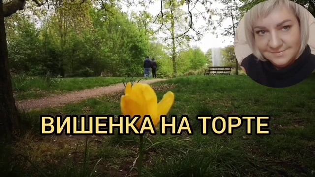 РАБОТАТЬ НЕ ХОТИМ. ХОТИМ В ИСПАНИЮ. ANYANASTYA LIFE. ОБЗОР.