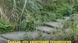 Плёнка   невидимка