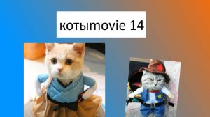 Котыmovie 14