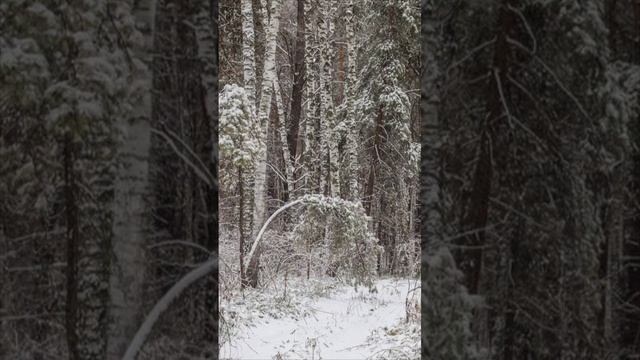 Никогда не знаешь, чем закончится очередная история в  твоей жизни, но пока она длится...