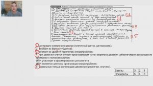 Как написать, оформить вторую часть ЕГЭ по биологии на максимальный балл
