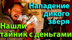 Нашли деньги в тайнике купленного дома. На гусей напал дикий зверь.