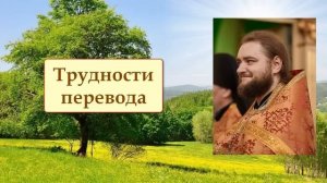 ТРУДНОСТИ ПЕРЕВОДА. Отец Савва (Мажуко).