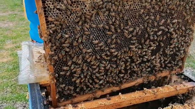 Отцовские семьи 2024 год смотреть онлайн