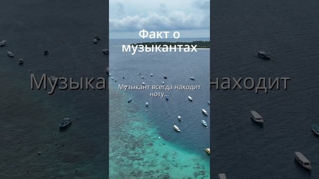 Факт о музыкантах - Ноты #taus #музыка #продвижениемузыки