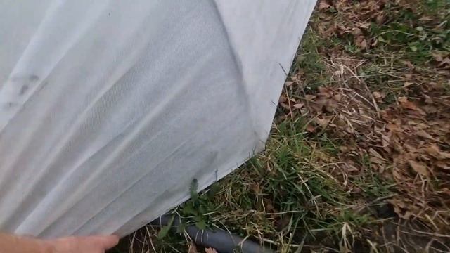 Подкормка клубники весной / Как вносить удобрения для клубники