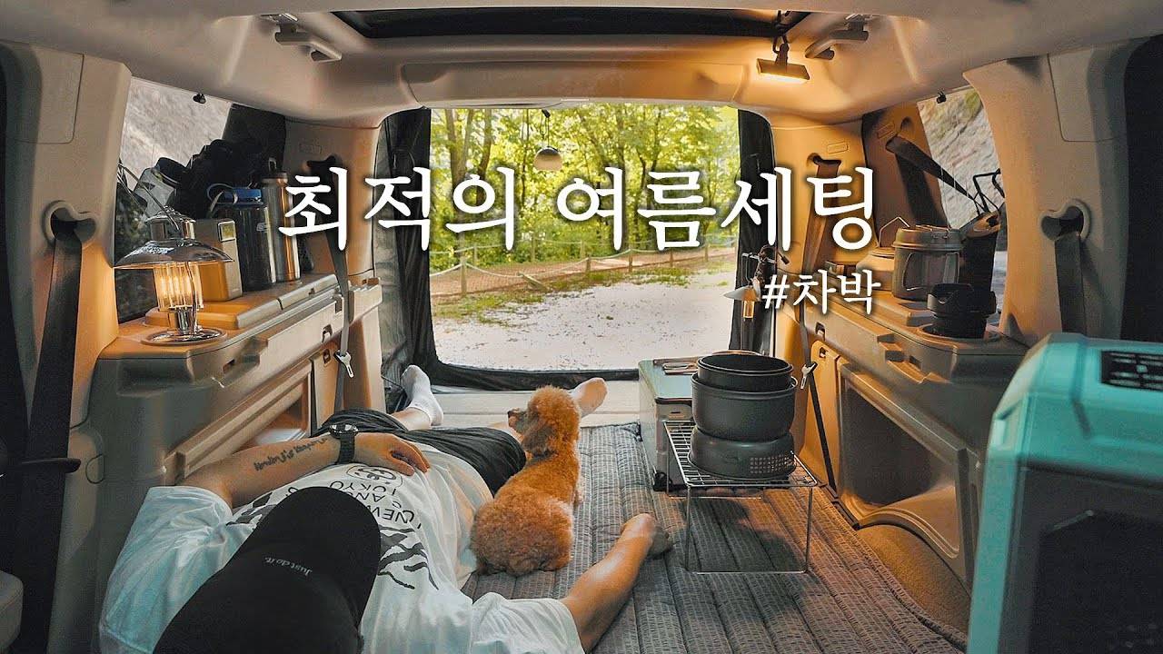 Одиночный автомобильный кемпинг жарким летом . Уютный отдых с собакой . Лесной поход ASMR смотреть онлайн