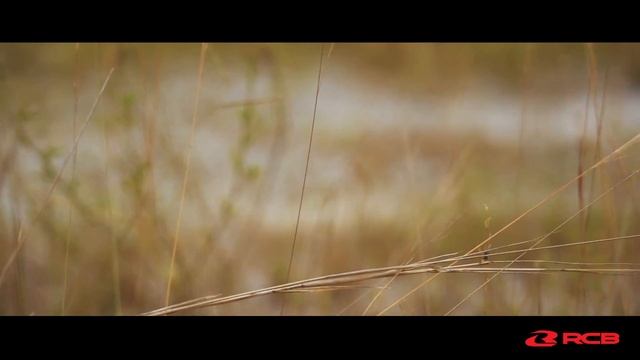 Sport Rims and Spoked Rims: What's the Difference? - Rims 101 Episode 2 смотреть онлайн