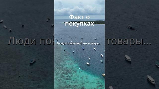 Факт о маркетинге - Покупки #taus #маркетинг #факт