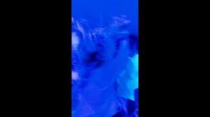 Забава в Казани