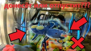 Борюсь за СИНЕГО ЗАЙЦА в АВТОМАТЕ-ХВАТАЙКЕ любимого владельца!!! Получится ли выиграть???