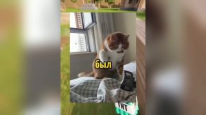 ВИРУСНЫЕ ВИДЕО / Подборка смешных моментов №6