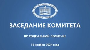 15.11.2024 Заседание Комитета ГС РТ по социальной политике