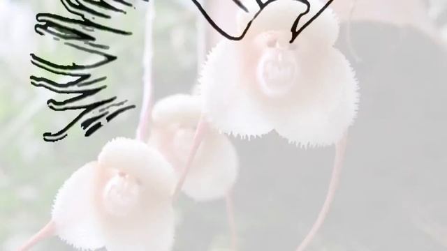 Прелести природы смотреть онлайн