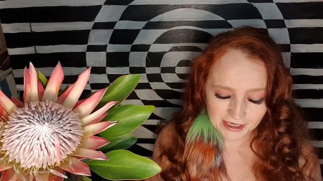 Санскрит - ночное озарение смотреть онлайн