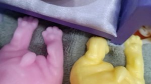 моем новых собачек