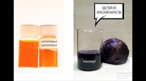 Ляпы агрономов Кислотность почвы Виктория Карелина && Иван Русских Садоводство @semenaaltaya
