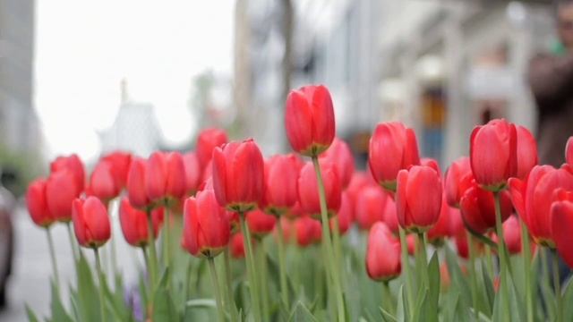 🧘♀️🍀🧘♂️Beautiful relaxing music for stress reliefe.meditation🧘♀️🍀🧘♂️