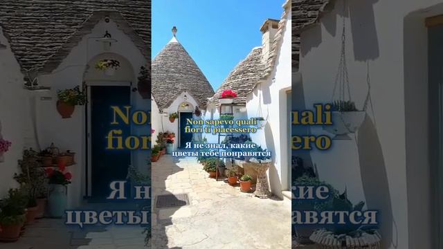 Non sapevo quali fiori ti piacessero - Прямой эфир с Анастасией Тороп ВК 14.11 - Ссылка в описании