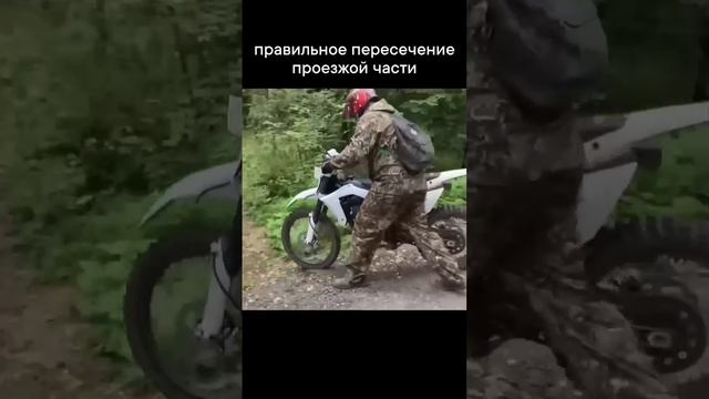 Правильное пересечение проезжей части?😂